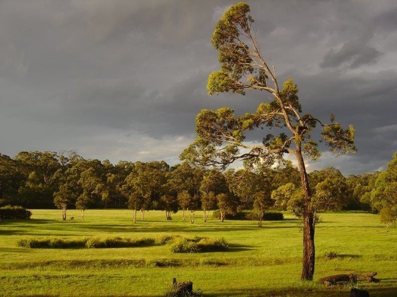 38 Lowry Road, Woollamia NSW 2540