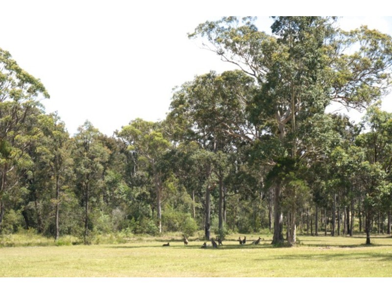 106 Watt Road, Falls Creek NSW 2540