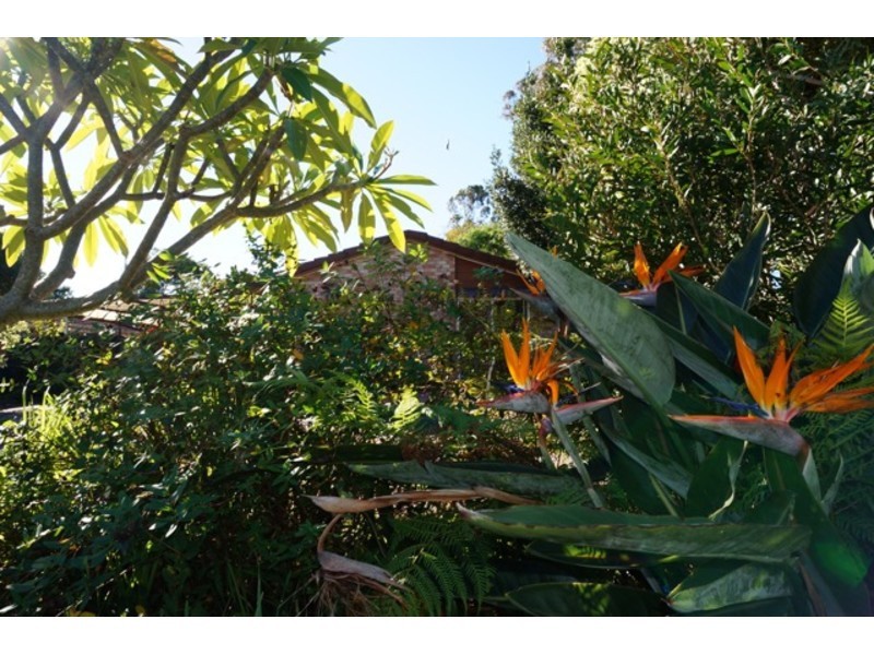 11 Frederick Street, Sanctuary Point NSW 2540