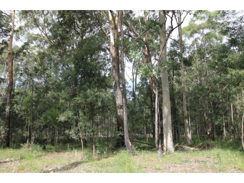 Lot 28,  Jerberra Road, Tomerong NSW 2540