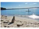 103 Elizabeth Drive, Vincentia NSW 2540