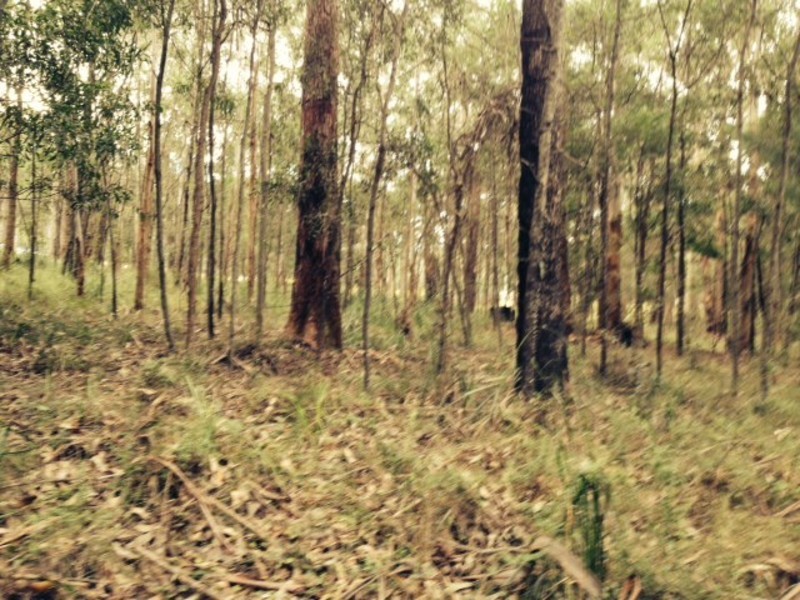 Lot 33 Inglewood Cresent, Tomerong NSW 2540