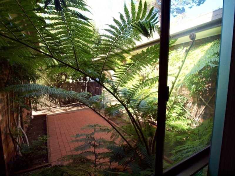 316 Elizabeth Drive, Vincentia NSW 2540