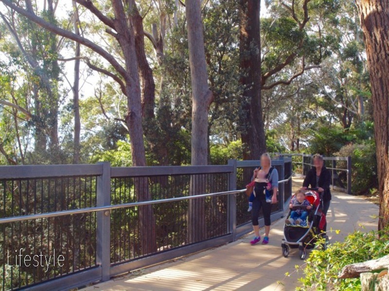 316 Elizabeth Drive, Vincentia NSW 2540