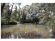 225 The Park Drive, Sanctuary Point NSW 2540