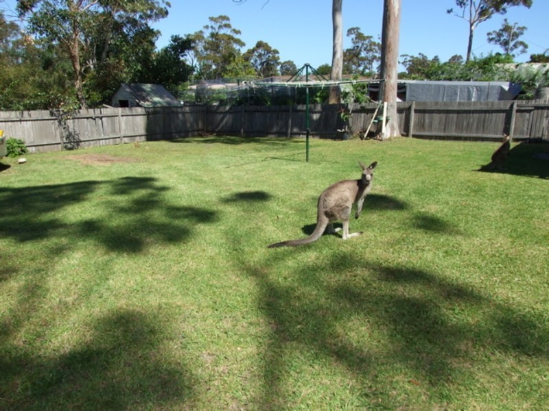 69 Mustang Drive, Sanctuary Point NSW 2540
