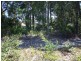 1 Telopia Avenue, Sanctuary Point NSW 2540