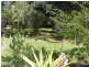 74 Waterpark Rd, Basin View NSW 2540