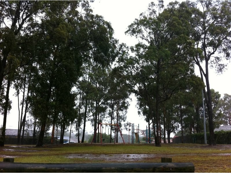 7 Apodis Street, Kingston QLD 4114