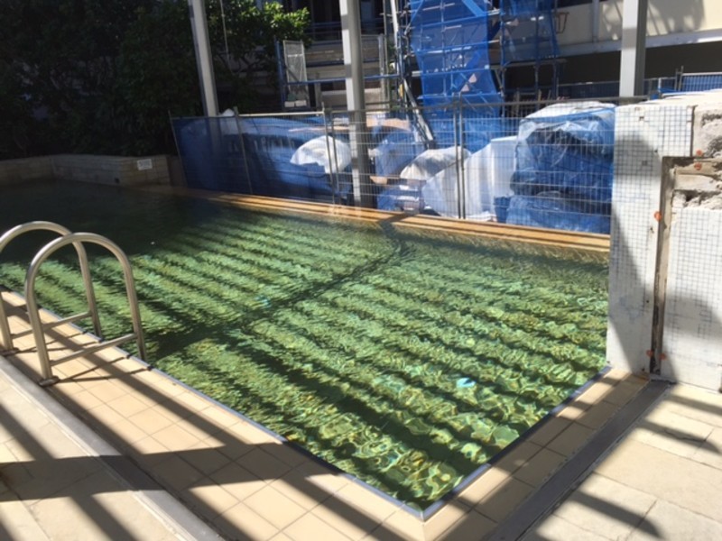 23 Shelley Street, Sydney NSW 2000