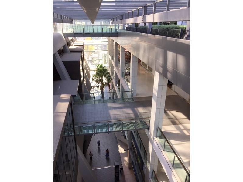 69 Albert Avenue, Chatswood NSW 2067