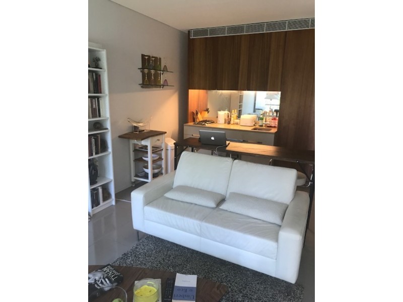 3 G Park Lane, Chippendale NSW 2008