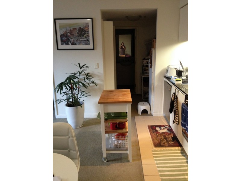 58 Mountain Street, Ultimo NSW 2007