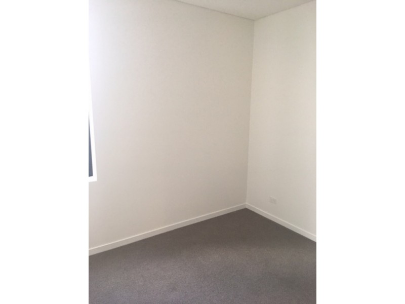 30 Wellington Street, Bondi NSW 2026