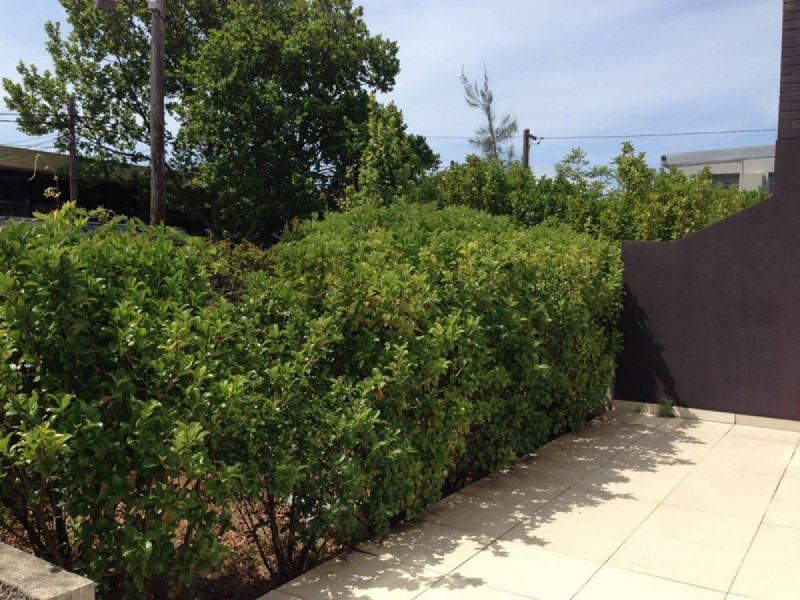 15 Kooringa Road, Chatswood NSW 2067