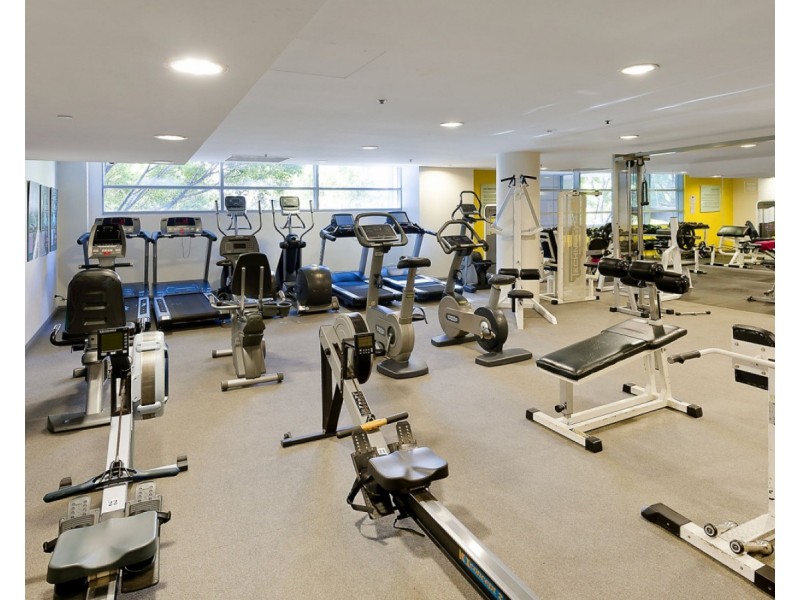 29 Shelley Street, Sydney NSW 2000