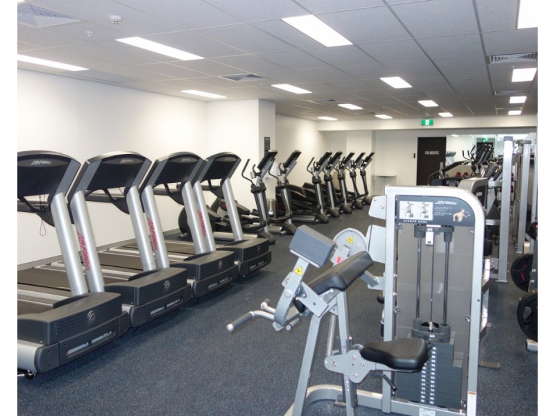 3 Carlton Street, Chippendale NSW 2008