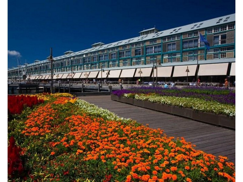 6 Cowper Wharf Road, Woolloomooloo NSW 2011