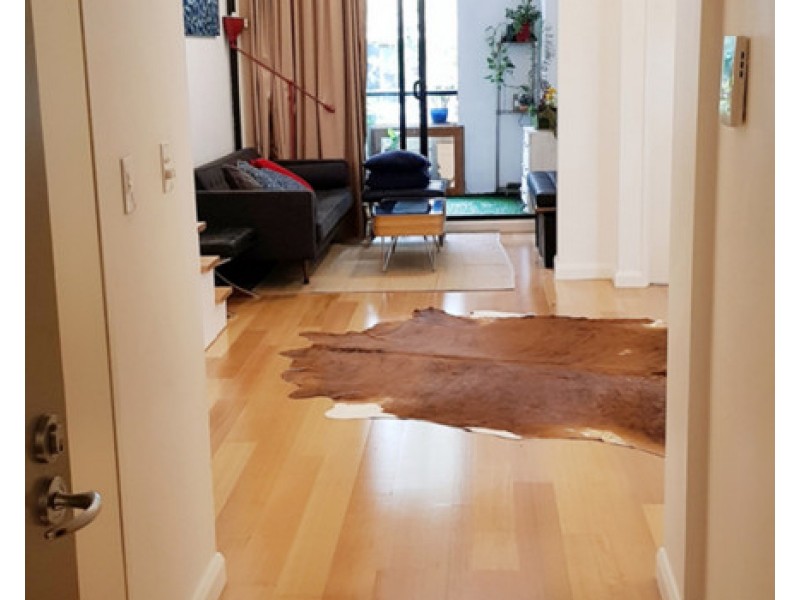 259 Clarence Street, Sydney NSW 2000