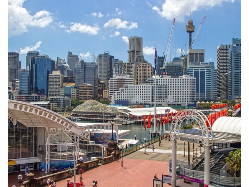 50 Murray Street, Pyrmont NSW 2009