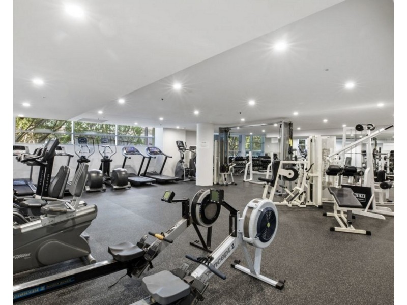 35 Shelley Street, Sydney NSW 2000