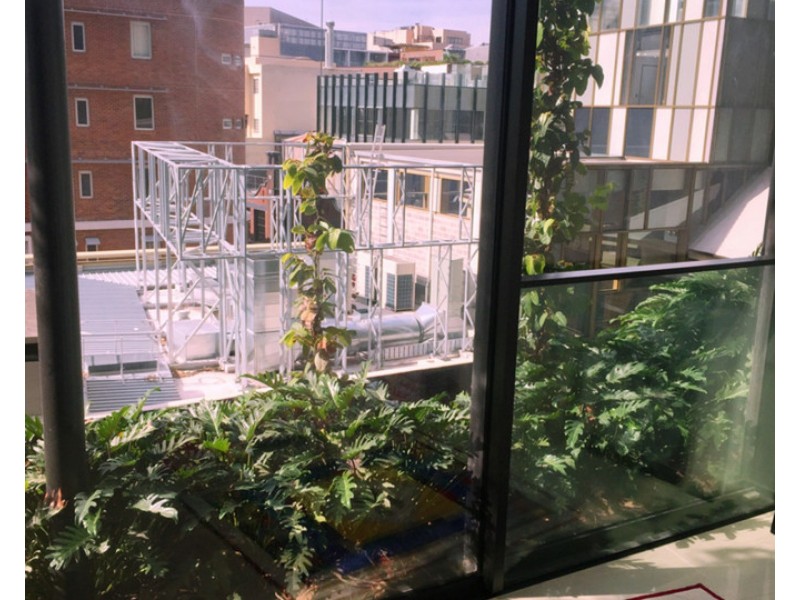 3 Carlton Street, Chippendale NSW 2008