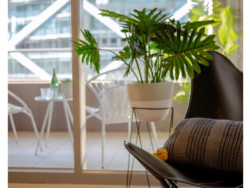 23 Shelley Street, Sydney NSW 2000