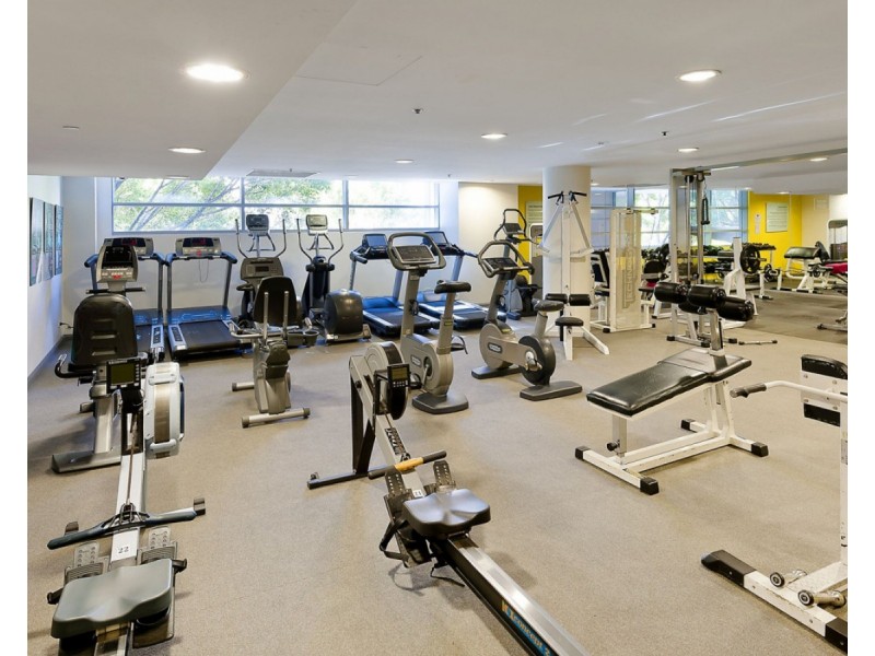 35 Shelley Street, Sydney NSW 2000