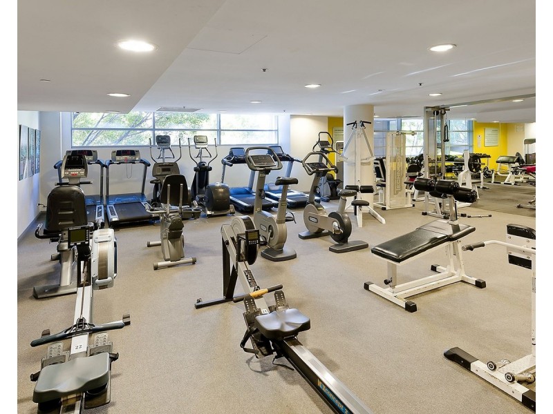 35 Shelley Street, Sydney NSW 2000