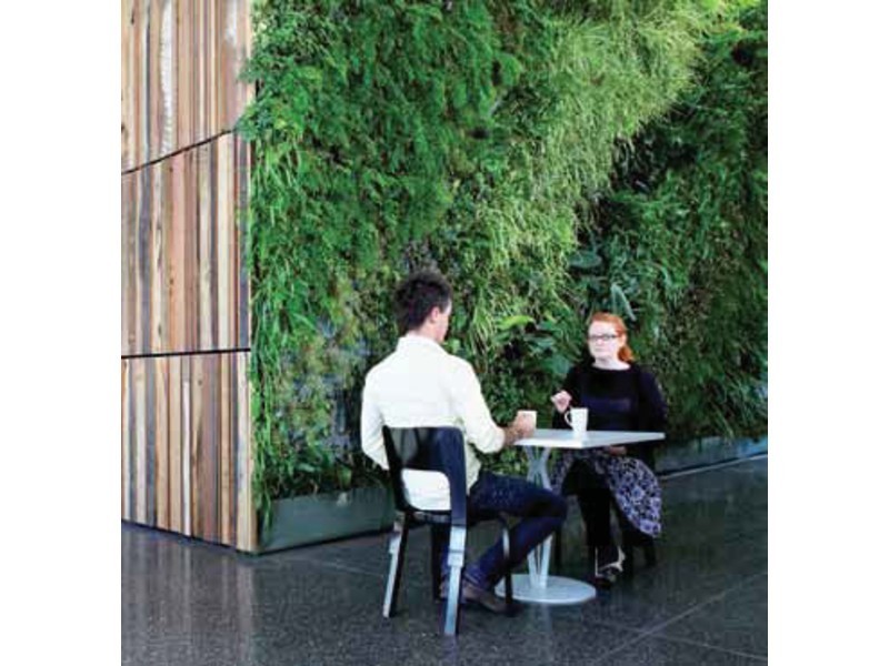 29 Barangaroo Avenue, Barangaroo NSW 2000