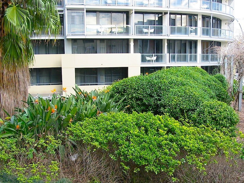 45 Shelley Street, Sydney NSW 2000