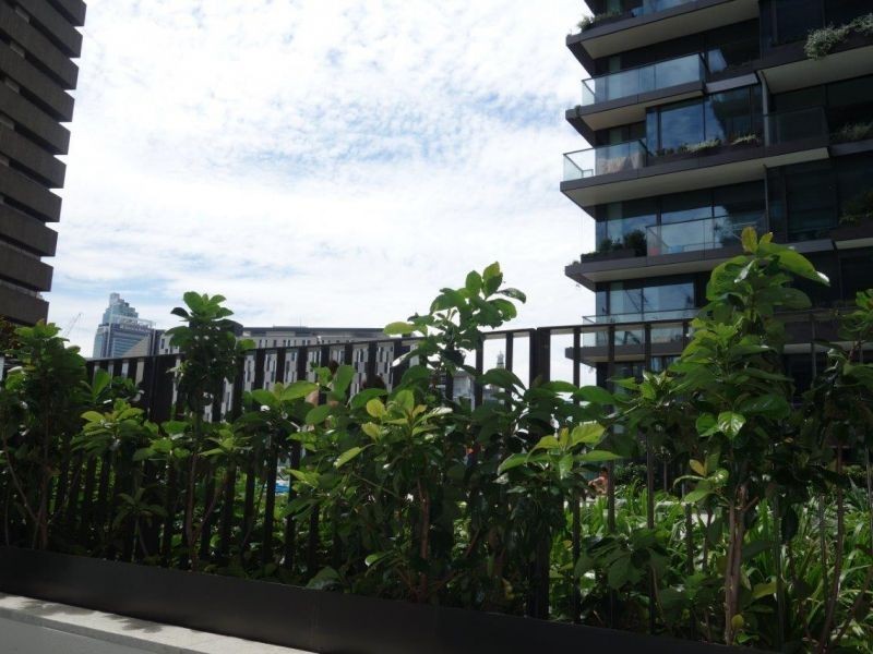 Chippendale NSW 2008