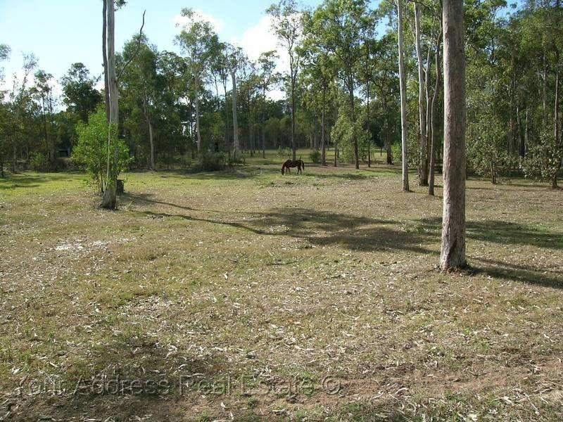 56 Smith Road, Park Ridge South QLD 4125