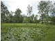 1023 Teviot Road, South Maclean QLD 4280