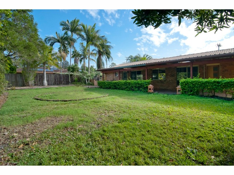 3 Conifer Street, Hillcrest QLD 4118