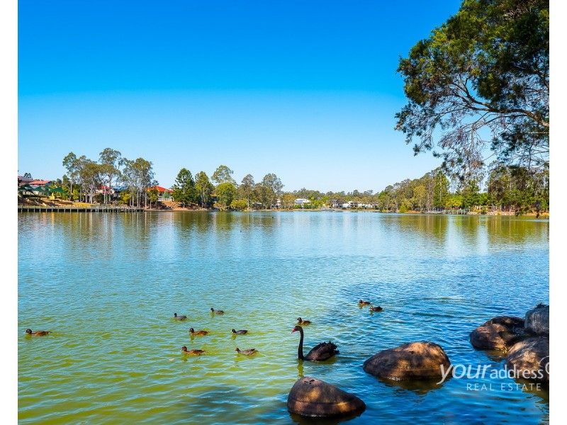 16 Serrata Circuit, Forest Lake QLD 4078