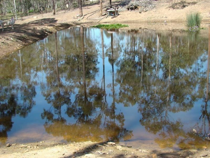 115 Honeyeater Drive,, Greenbank QLD 4124