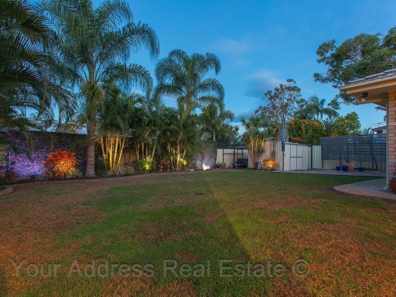 3 Pine Street, Hillcrest QLD 4118
