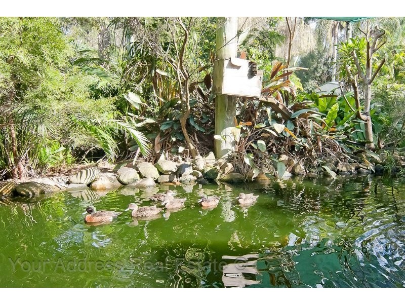 18-20 Durham Court, Park Ridge South QLD 4125