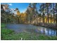 56 Smith Road, Park Ridge South QLD 4125