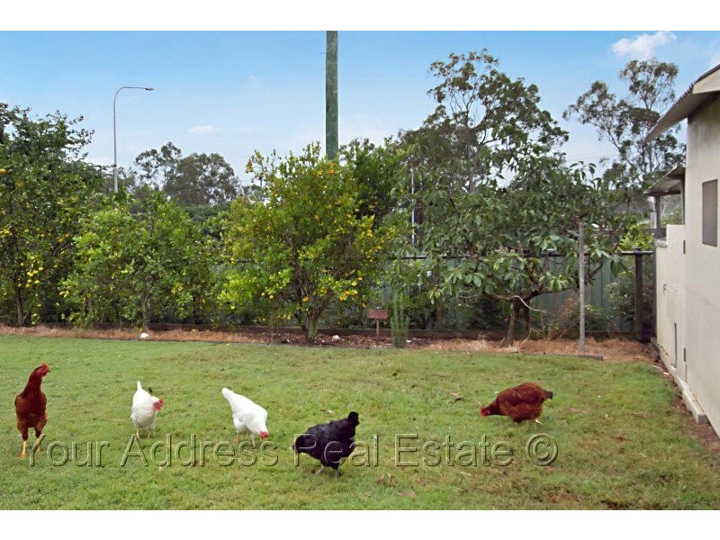 3/3667 Mt Lindesay Highway, Park Ridge QLD 4125