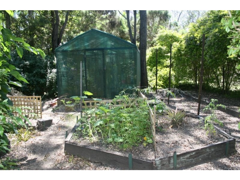 168 Tamborine Street, Jimboomba QLD 4280