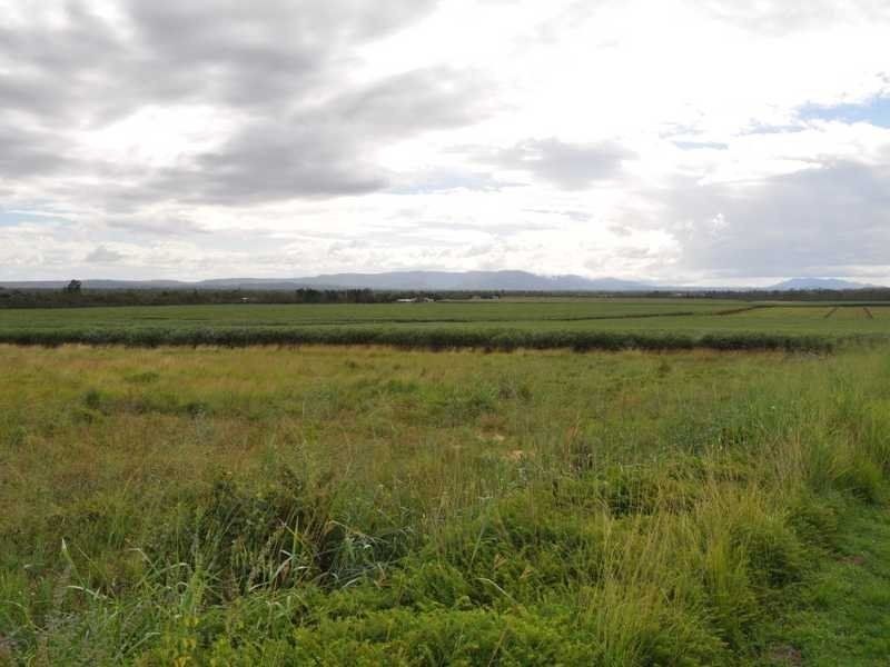 Cobra Road, Mareeba QLD 4880