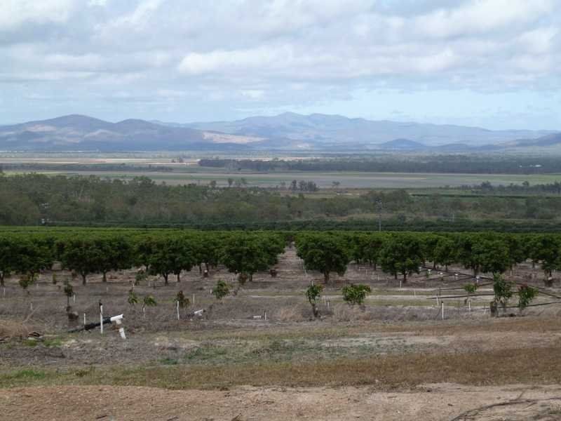 72 Mcbean Road, Mareeba QLD 4880