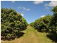 Mareeba – Dimbulah Road, Mareeba QLD 4880