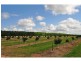 Mareeba – Dimbulah Road, Mareeba QLD 4880