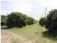 803 Leadingham Creek Road, Dimbulah QLD 4872