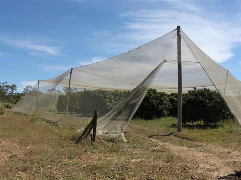 803 Leadingham Creek Road, Dimbulah QLD 4872