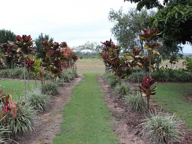 Arriga QLD 4880