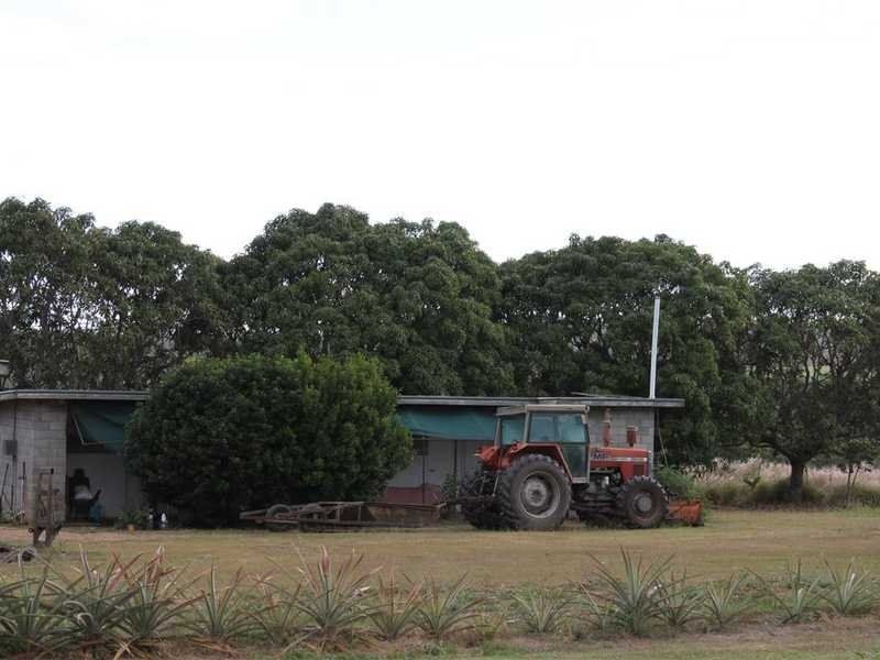 Arriga QLD 4880